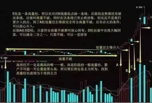 笨鸟先飞 第7页