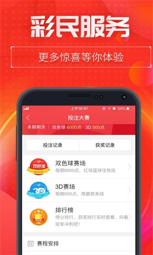 王中王493333中特1肖,王中王493333中特1肖，探索与解析