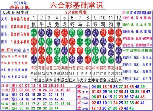 2024澳门正版资料大全资料生肖卡,澳门正版资料大全与生肖卡的独特魅力，展望2024年