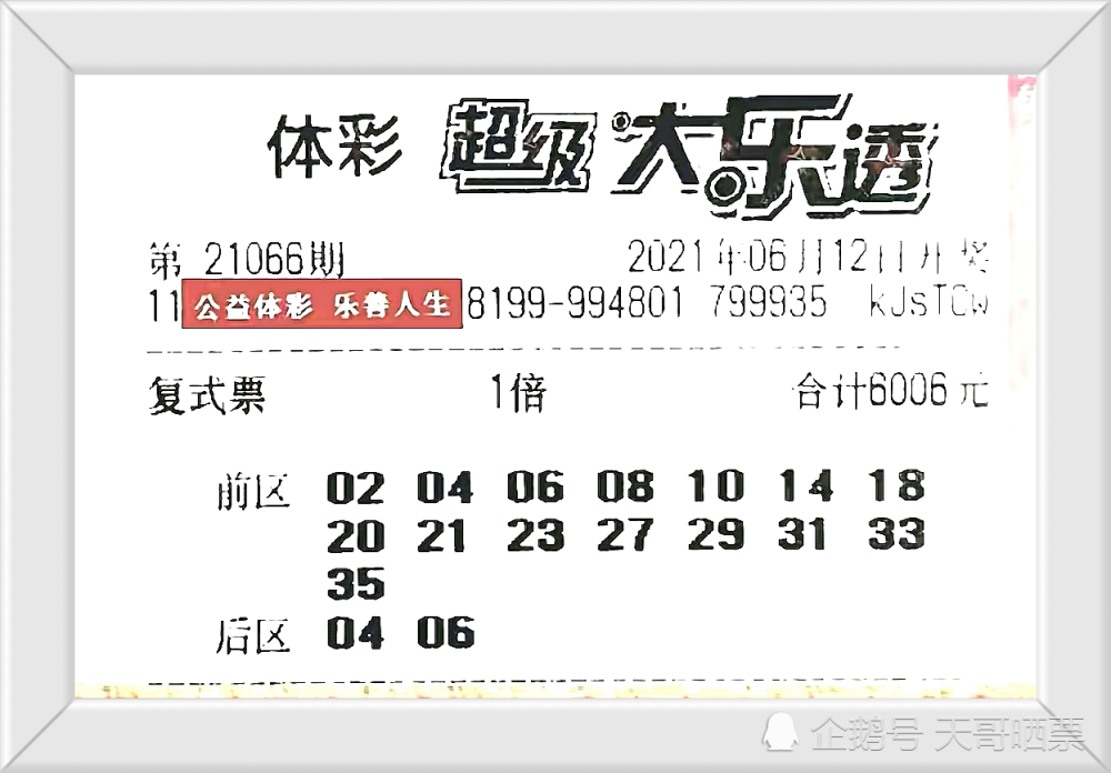 香港今晚开特马 开奖结果66期,香港今晚特马开奖，揭晓第66期的神秘面纱