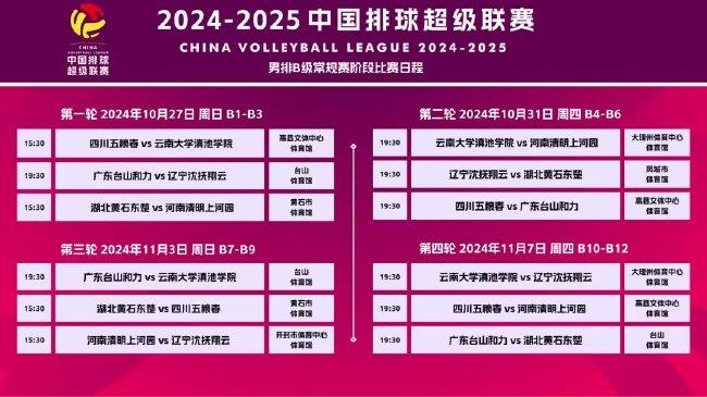 新澳2025今晚开奖结果,新澳2025今晚开奖结果揭晓，一场彩票盛宴的期待与揭秘