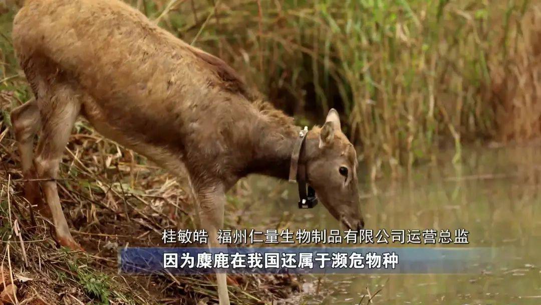 飞流直下