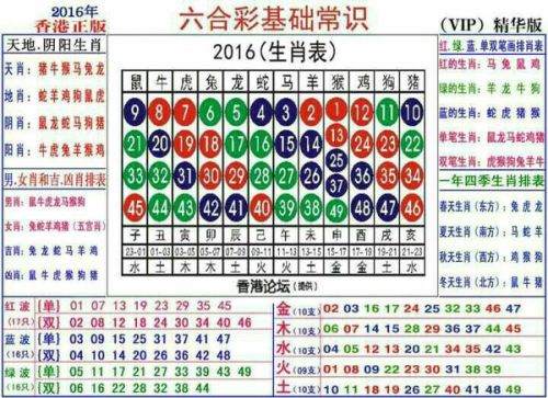 2025十二生肖49码表,揭秘十二生肖与数字密码，独特的2025年十二生肖49码表